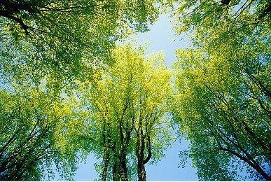 像素僵尸生存独游《腐朽默示》试玩Demo现已上线Steam